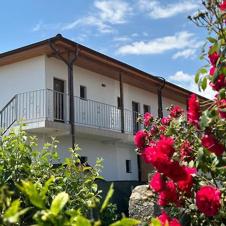 Vila Bloom Vama Veche Εξωτερικό φωτογραφία
