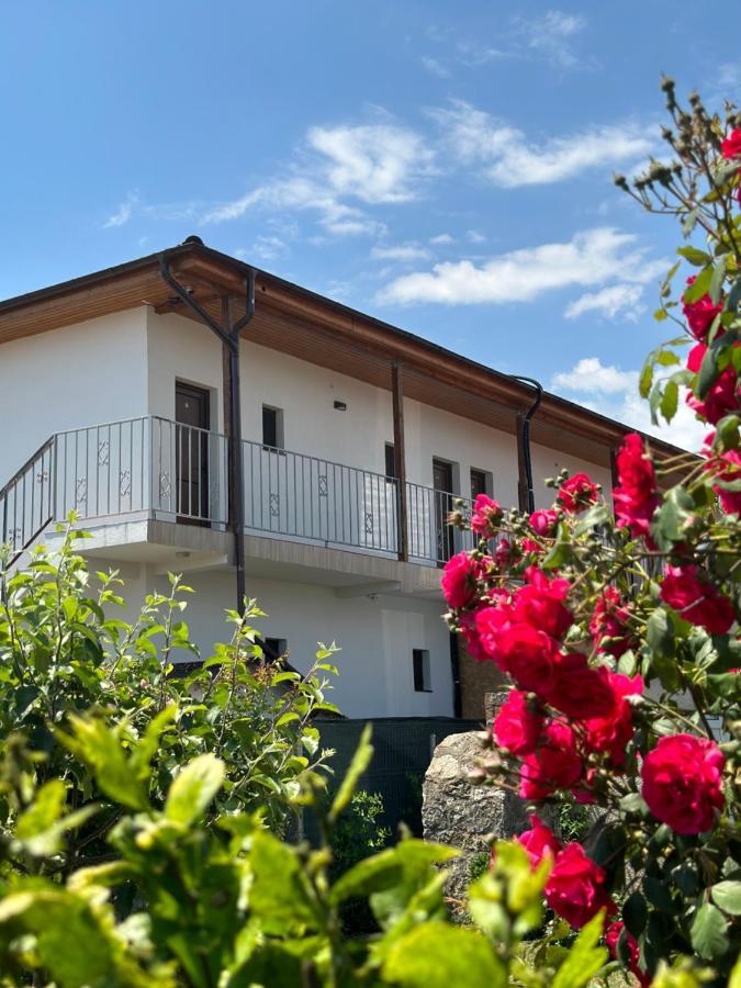 Vila Bloom Vama Veche Εξωτερικό φωτογραφία